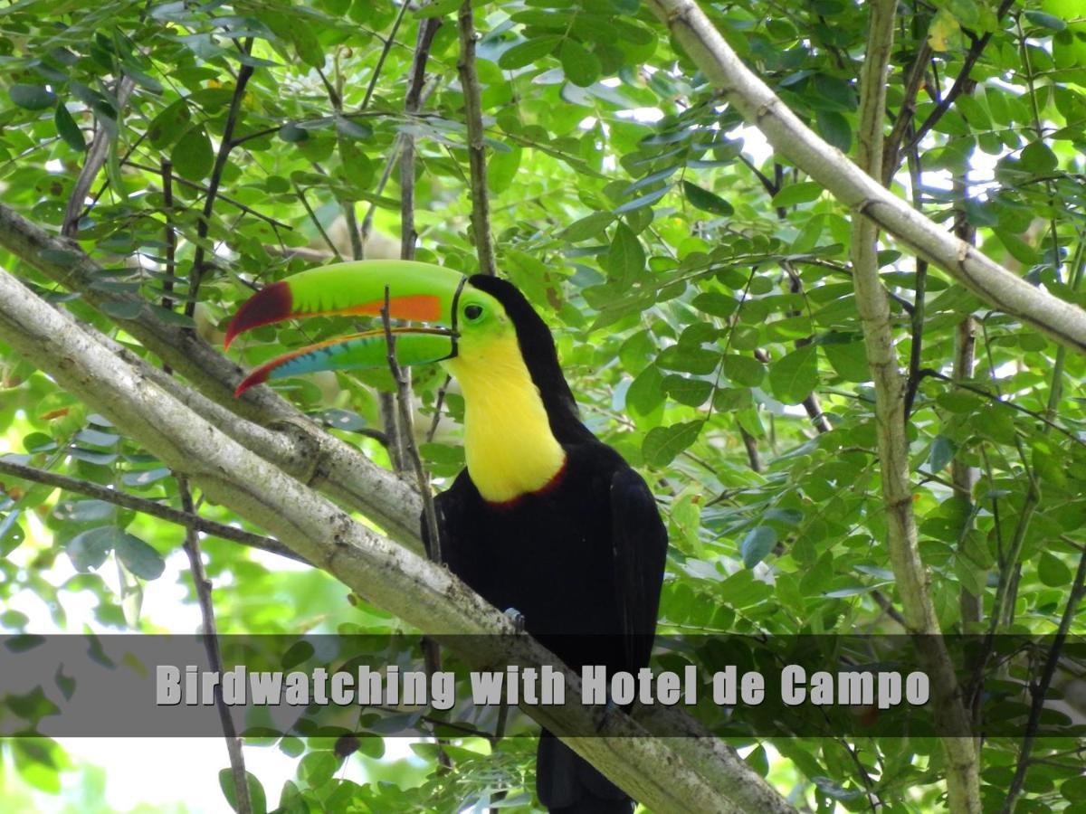 Hotel De Campo Caño Negro المظهر الخارجي الصورة